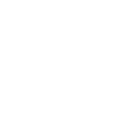 Mendoza Insurance Services